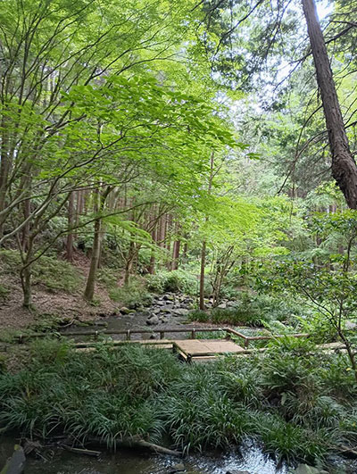 愛鷹運動公園　せせらぎの径