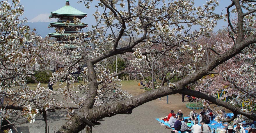 香貫山公園