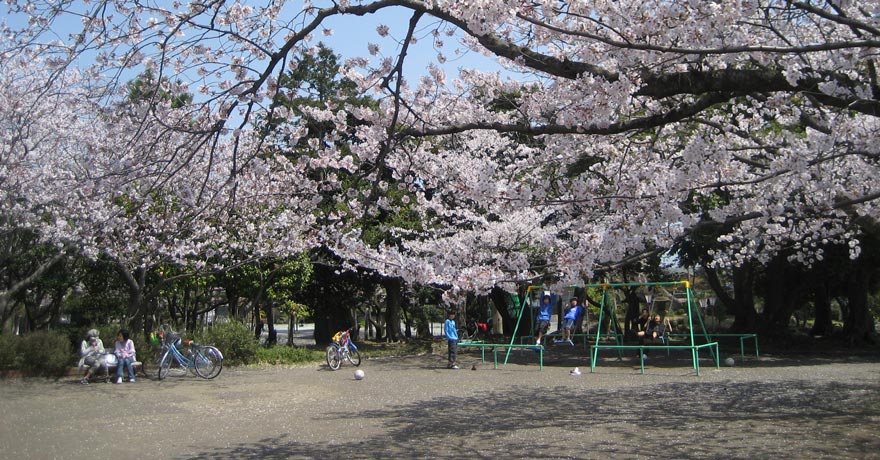 山王公園