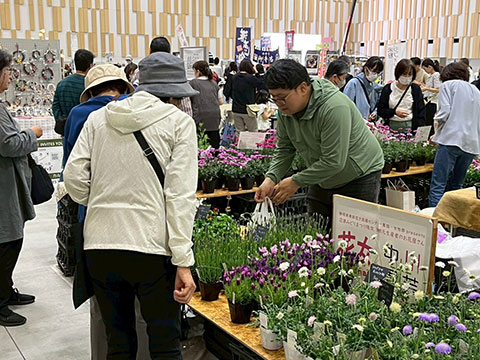 過去のみどりまつりの様子