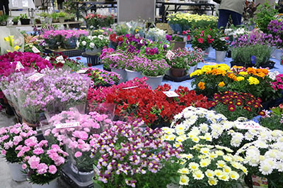 花の販売の様子