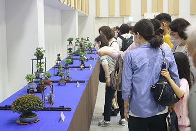 盆栽・生花の展示の様子