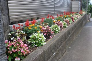 奨励賞　持田　茂美さんの花壇2