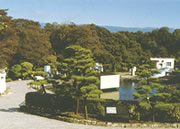 水源地