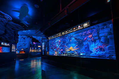 沼津深海水族館 シーラカンス・ミュージアム内観