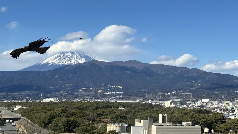 写真を探す