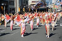 よさこい東海道