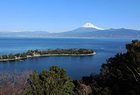 沼津から見る富士山（大瀬崎）