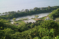 伊豆半島ジオパーク（井田の明神池）