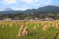 浮島田園風景