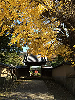 霊山寺紅葉