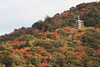 香貫山紅葉