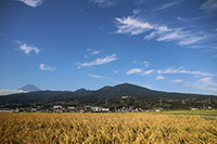 秋空と浮島