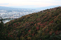 晩秋の香貫山