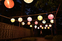 沼津御用邸記念公園のライトアップ1（台湾ランタン）