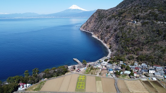 井田海岸と富士山（煌めきの丘から）