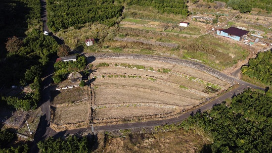 北山の棚田