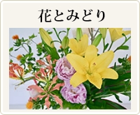 花とみどり