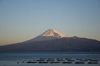 西浦からの富士山