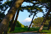 千本松からのぞく富士山