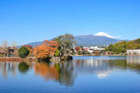 門池と富士山