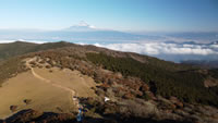 金冠山