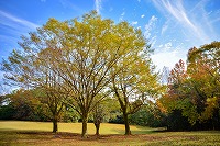 愛鷹広域公園