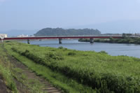 港大橋