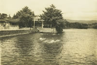 門池 （昭和40年代前半）