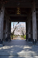 光長寺