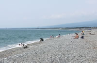 沼津の海（千本浜海水浴場）