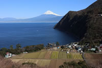 井田の花文字と富士山