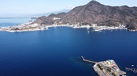 江浦湾と富士山