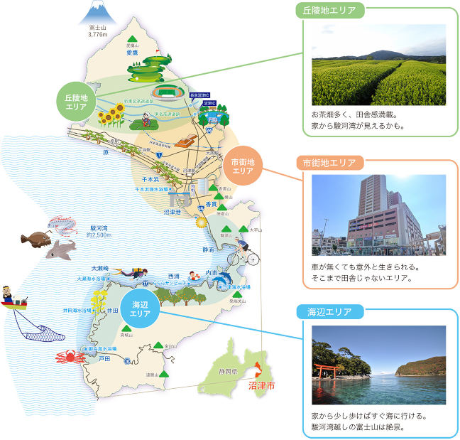 沼津市内エリアごとの紹介【丘陵地エリア】お茶畑が多く、田舎感満載。家から駿河湾が見えるかも。【市街地エリア】車が無くても意外と生きられる。そこまで田舎じゃないエリア。　【海辺エリア】家から少し歩けばすぐ海に行ける。駿河湾越しの富士山は絶景。