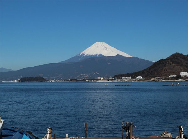 カクテルの写真