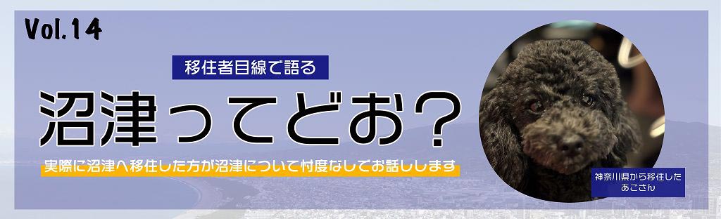 移住者目線で語る沼津ってどお?