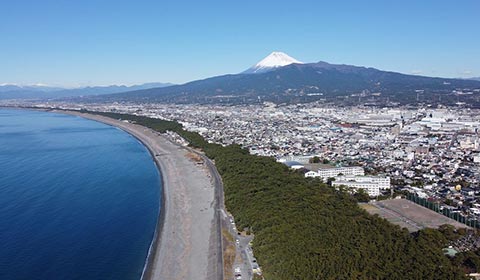 千本浜と富士山