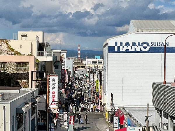 沼津港