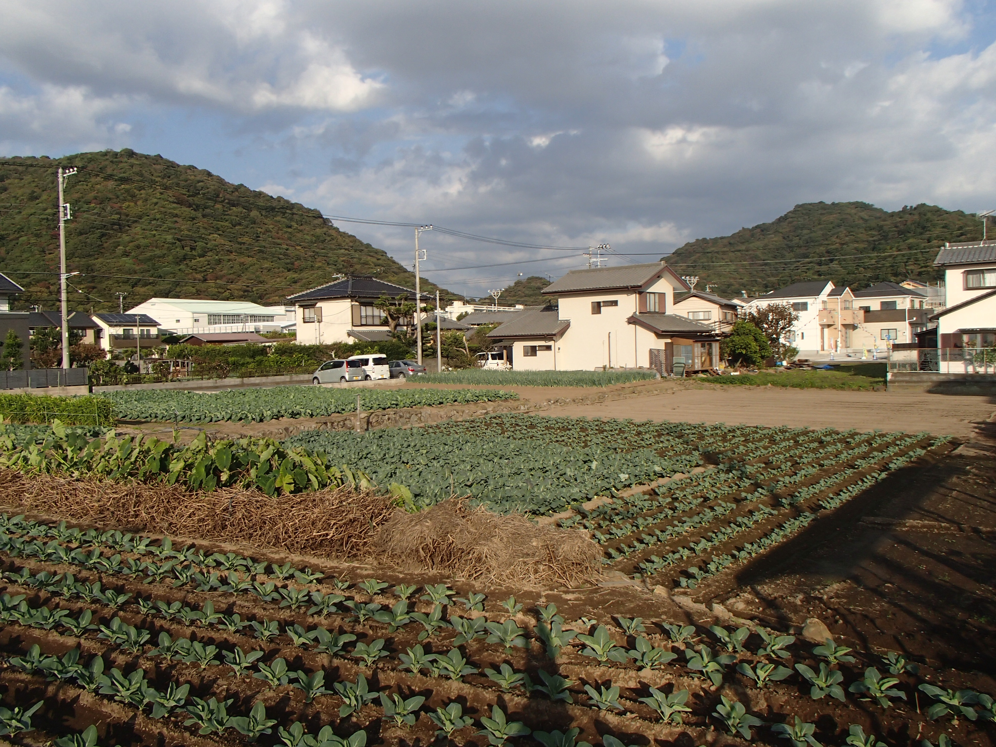 田園住居地域の画像
