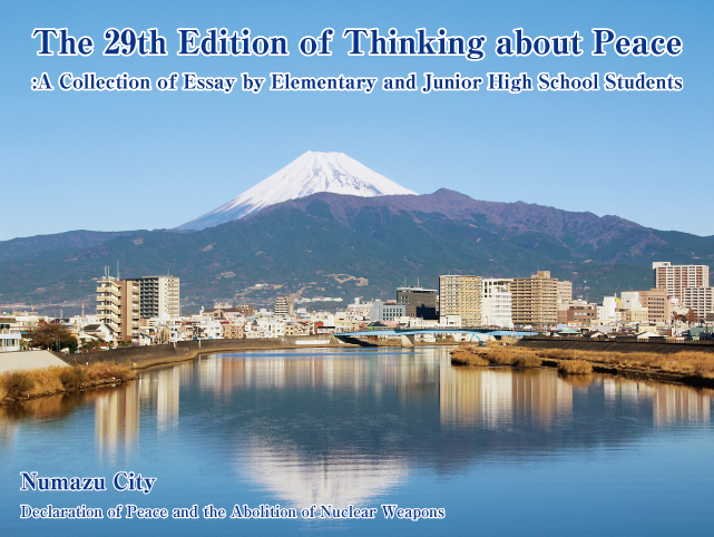 The 29th Edition of Thinking about Peace