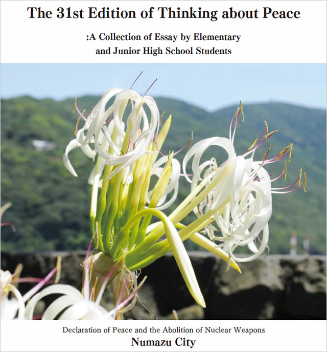 The 31th Edition of Thinking about Peace