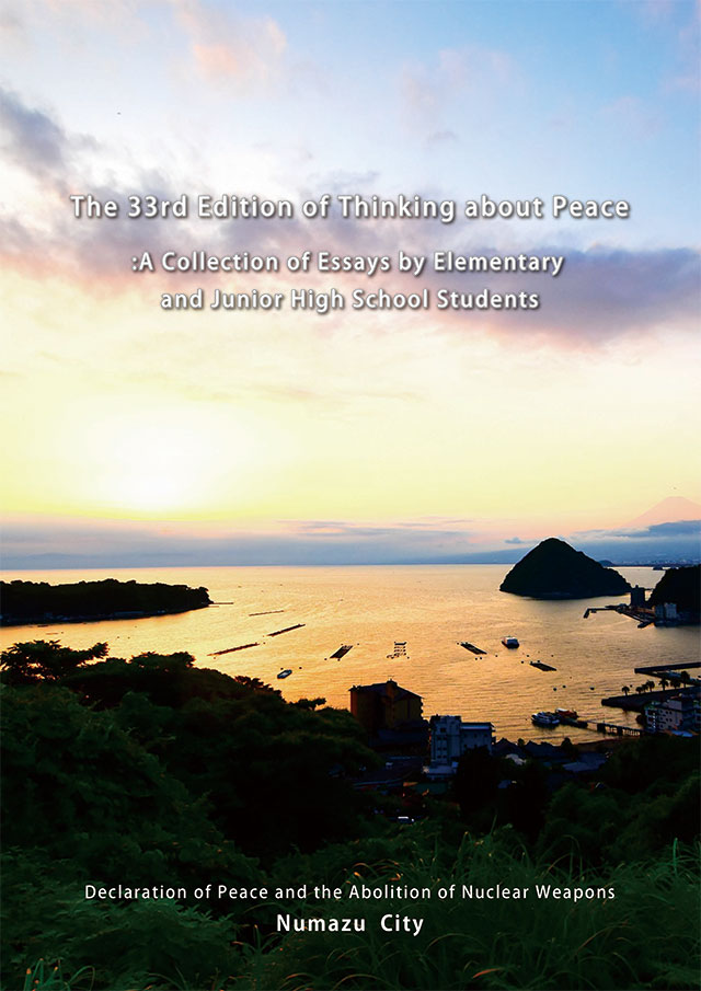 The 33th Edition of Thinking about Peace