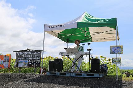 浮島ひまわり祭りイベントの様子