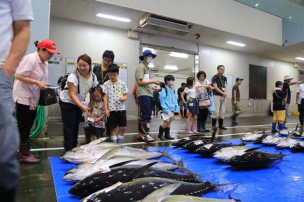 沼津魚市場セリツアー
