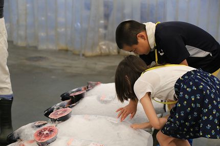 沼津魚市場セリツアーに参加されたみなさん