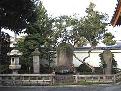 妙傳寺　大久保忠佐墓