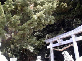 久連神社社叢