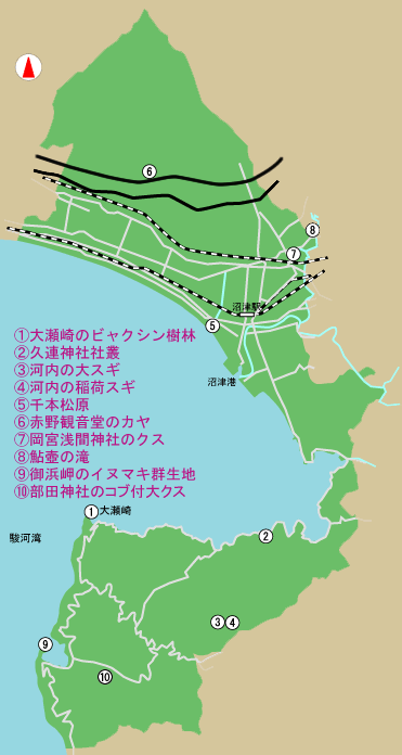 天然記念物　所在地　地図　【1】大瀬崎のビャクシン樹林　【2】久連神社社叢　【3】河内の大スギ　【4】河内の稲荷スギ　【5】千本松原　【6】赤野観音堂のカヤ　【7】岡宮浅間神社のクス　【8】鮎壺の滝　【9】御浜岬のイヌマキ群生地　【10】部田神社のコブ付大クス