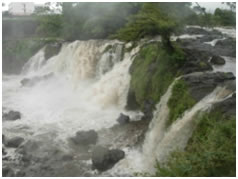 高さ約10メートル、幅約90メートルの鮎壺の滝は、黄瀬川の本流が落下する