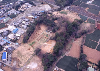 愛鷹山の尾根を利用し、根古屋に築かれていた興国寺城跡